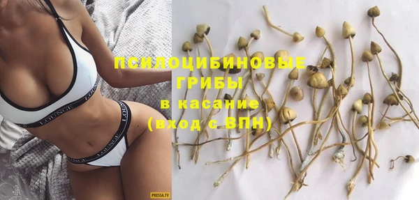гидропоника Балабаново
