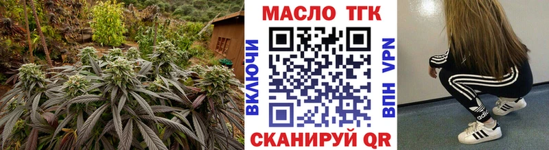 купить  сайты  Мураши  МЕГА ТОР  Дистиллят ТГК концентрат 
