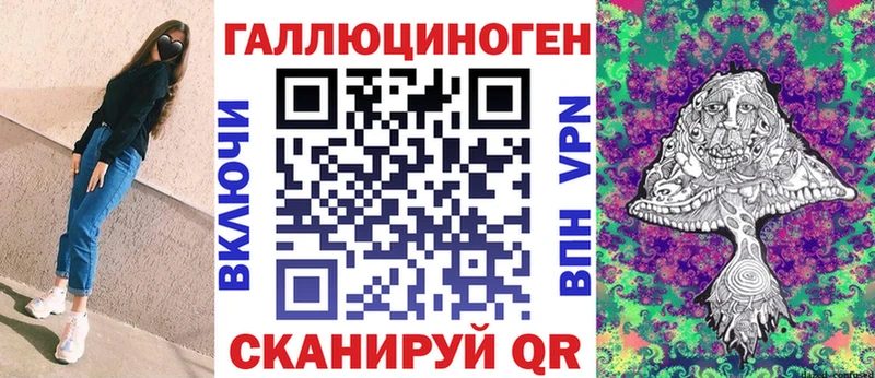 наркошоп  Мураши  Галлюциногенные грибы Psilocybe 